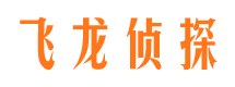 六合市调查公司